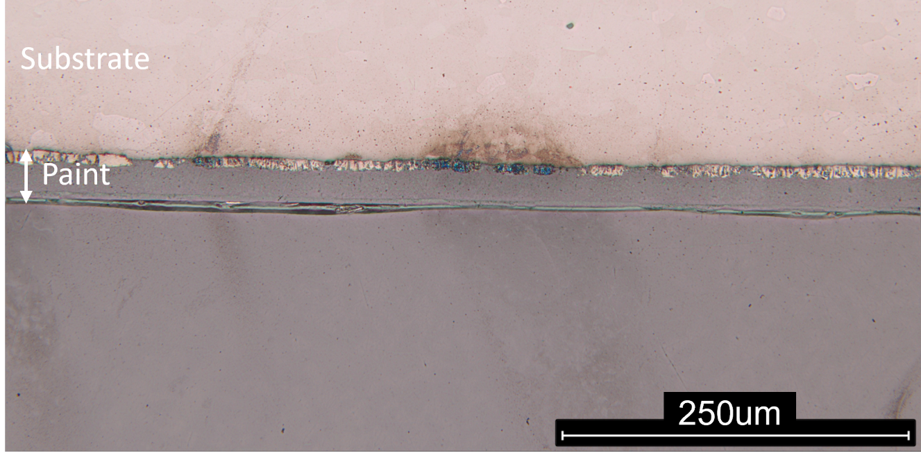 Automotive Paint Layer Analysis with Microscopy & EDS