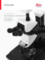 Fluorescence-Stereo-pdf